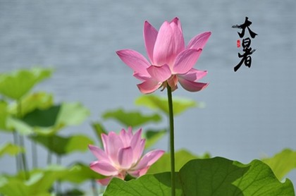 ?夢見自己頭發很黑